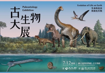 Paleontology Exhibition